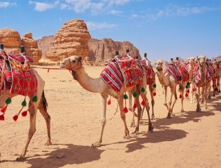 white desert & Egypt Safari Tours