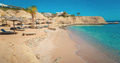 Eco travelers exploring Egypt’s wadis and oases on a sustainable tour