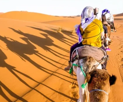 Traveler walking over golden sand dunes in the Egyptian Sahara during sunset on a Heart Egypt Tours expedition.