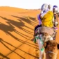 Egypt Desert Travel Seasons_ When to Explore the Sahara Safely 85x85