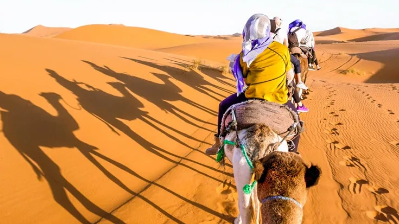 Traveler walking over golden sand dunes in the Egyptian Sahara during sunset on a Heart Egypt Tours expedition.