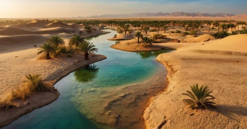 Photographers capturing landscapes in Egypt’s White Desert, Bahariya Oasis, and historic sites.